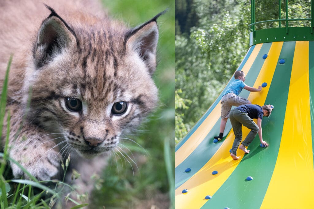 Wild- & Erlebnispark Ferleiten