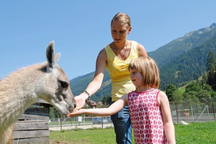 Wildpark Untertauern 1